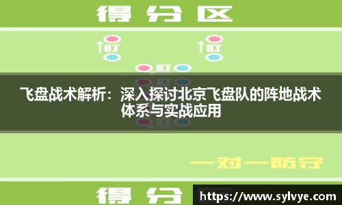 飞盘战术解析：深入探讨北京飞盘队的阵地战术体系与实战应用